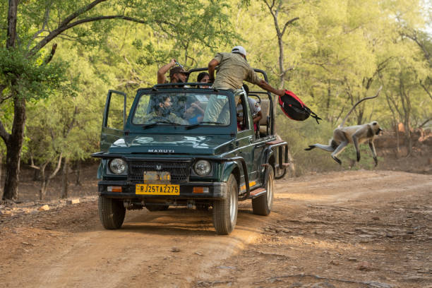 Ranthambore National Park, Rajasthan, India