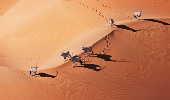Namib-Naukluft National Park, Namibia